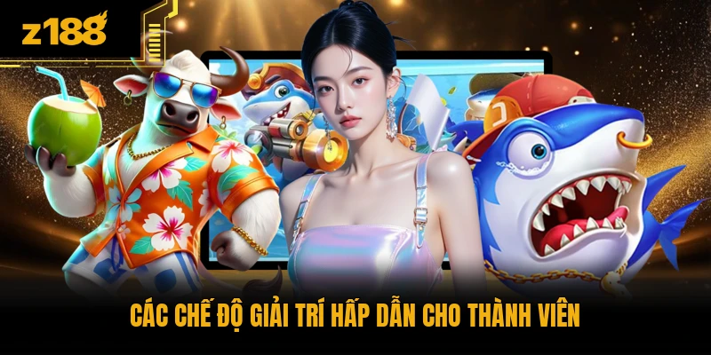 Các chế độ giải trí hấp dẫn cho thành viên
