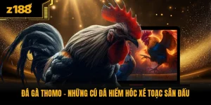 Đá Gà Thomo - Những Cú Đá Hiểm Hóc Xé Toạc Sân Đấu