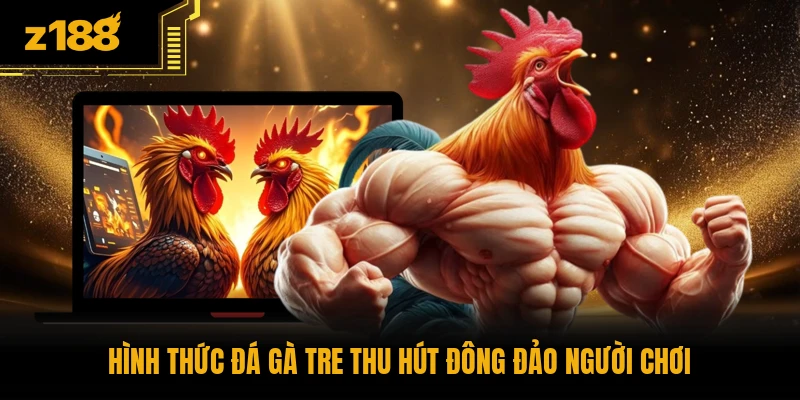 Hình thức đá gà tre thu hút đông đảo người chơi