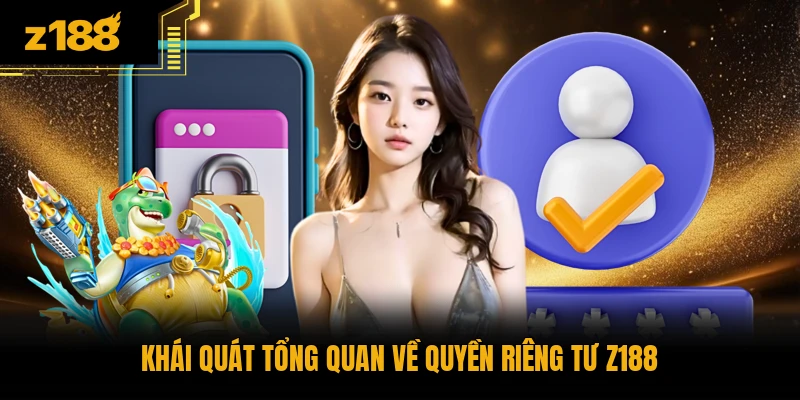 Khái quát tổng quan về quyền riêng tư Z188
