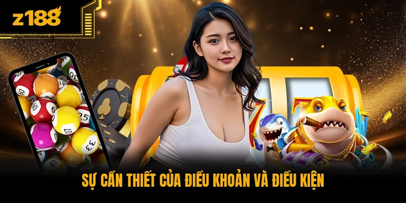Sự cần thiết của điều khoản và điều kiện