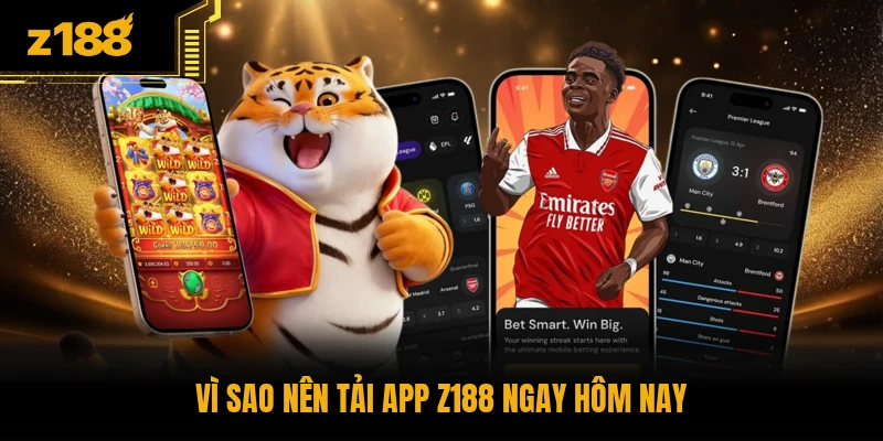 Vì sao nên tải app Z188 ngay hôm nay